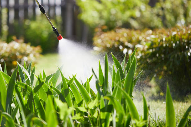 Tamper-Resistant Bait Stations for Rodents in Shortsville