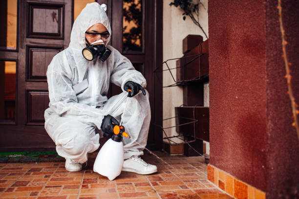 Attic and Crawl Space Rodent Treatment in Shortsville