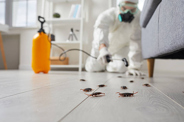 Commercial Rodent Management in Shortsville